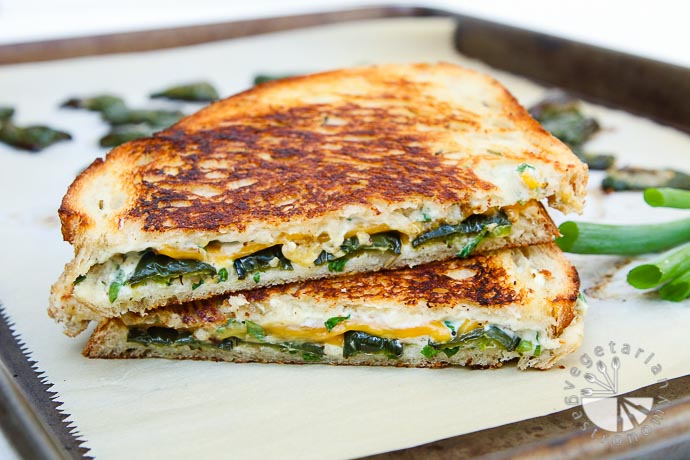 Jalapeno Panini
